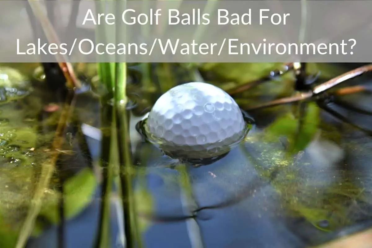 Are Golf Balls Bad For Lakes/Oceans/Water/Environment?
