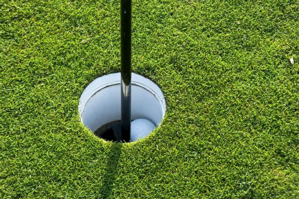 A golfer getting a hole in one