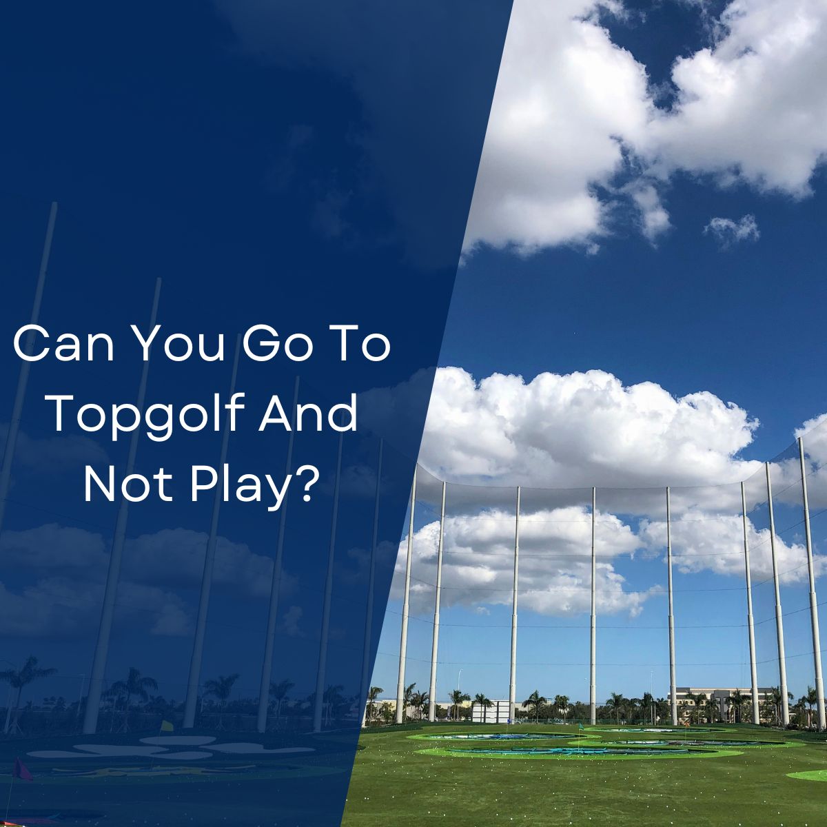 Can You Go To Topgolf And Not Play?