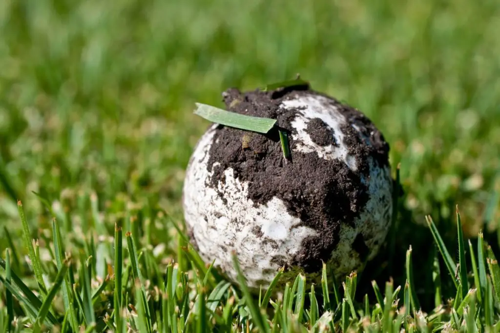 Golf ball with caked on dirt