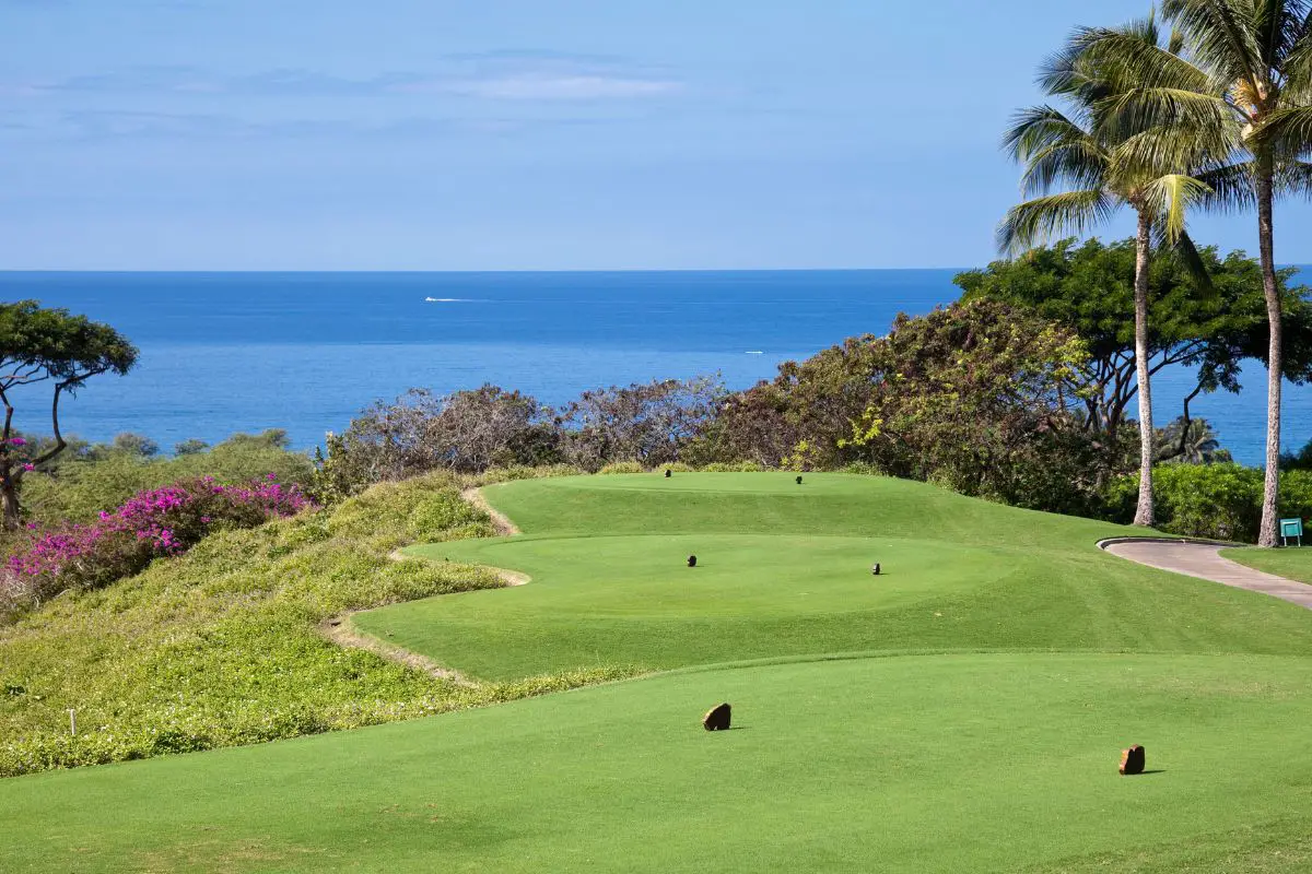 Can You Tee Up on a Par 3? Unveiling the Essential Rules and Tips for a Hole-In-One Experience
