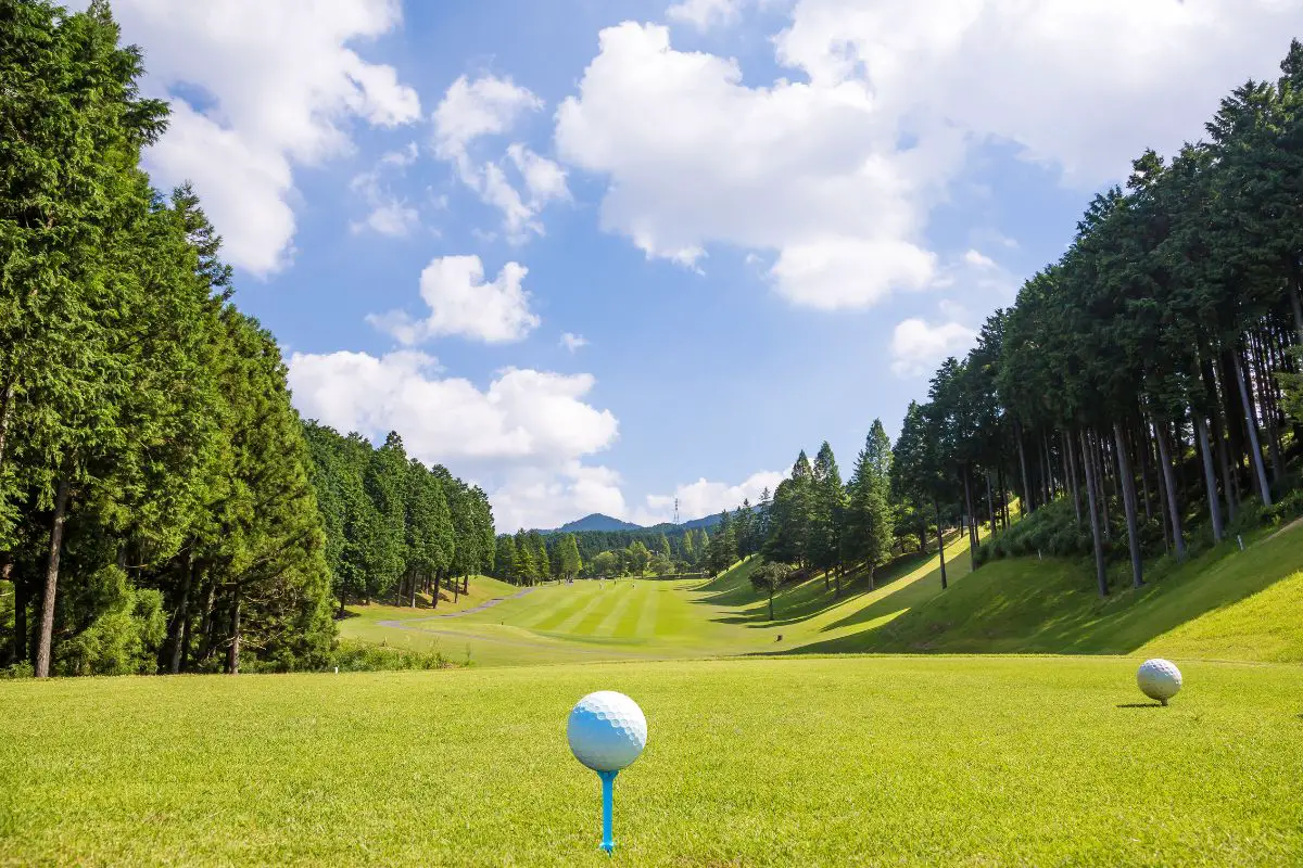 Your Guide to the Best Golf Tees: A Beginners Essential